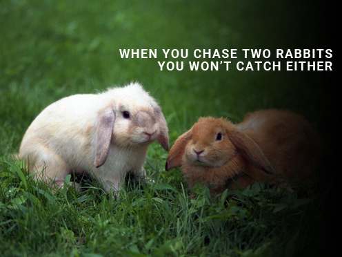 Jangan kejar 2 kelinci sekaligus, karena biasanya kau akan kehilangan keduanya